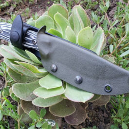 The Benchmade Saddle Mountain Skinner Kydex Sheath is stuck in a succulent plant.