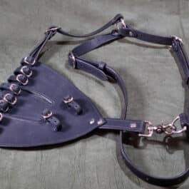 a purple leather halter with metal hardwares.