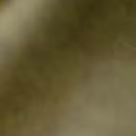 Olive Buttero