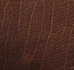 Light Brown Shrunken Bison