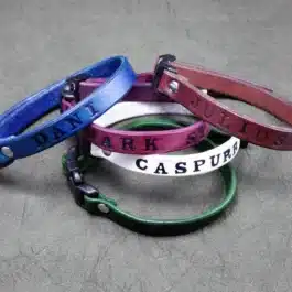 A Leather Cat Collar sitting on top of a table.