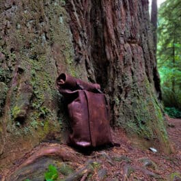 brown Bison Leather Roll Top Rucksack in the woods - renaissance clothing - renaissance clothing men - renaissance clothing women - renaissance clothing near me - renaissance art clothing - renaissance era clothing - renaissance costume ideas