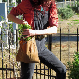 a young woman and her forage pouch picking rosemary