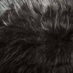Black Sheep Fur