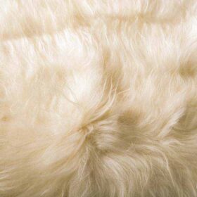 White Sheep Fur
