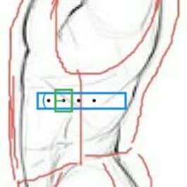A drawing of a Custom Armor torso and chest.
