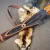 Ranger Back Quiver